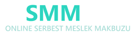 e-SMM